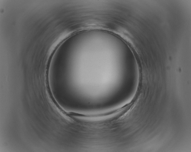 X0000073921333200608181039