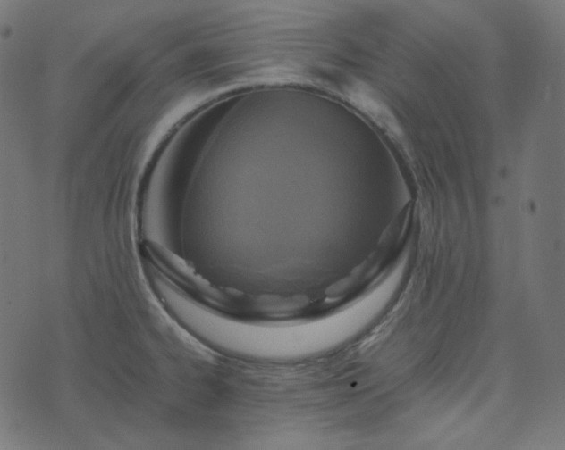 X0000073921334200608181039