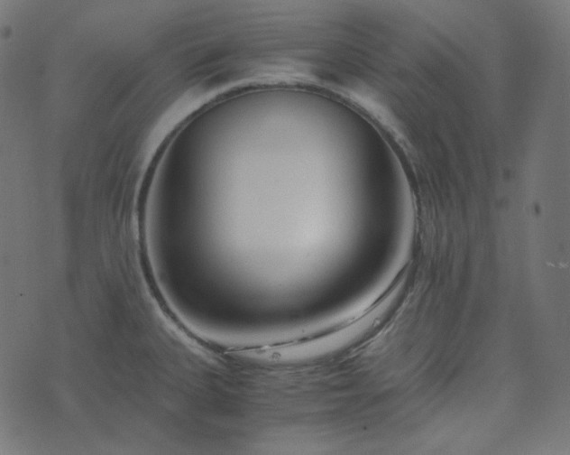 X0000073921335200608181039