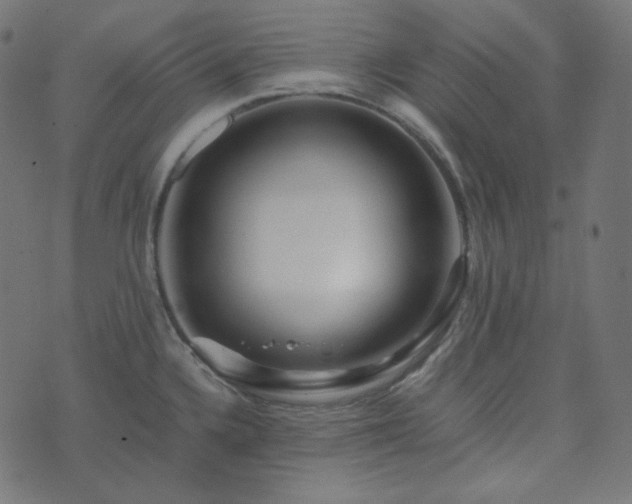 X0000073921336200608181039