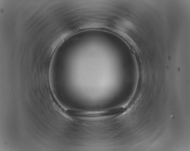 X0000073921337200608181039