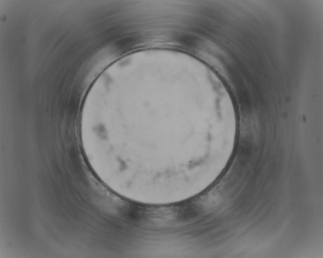 X0000073921338200608181039