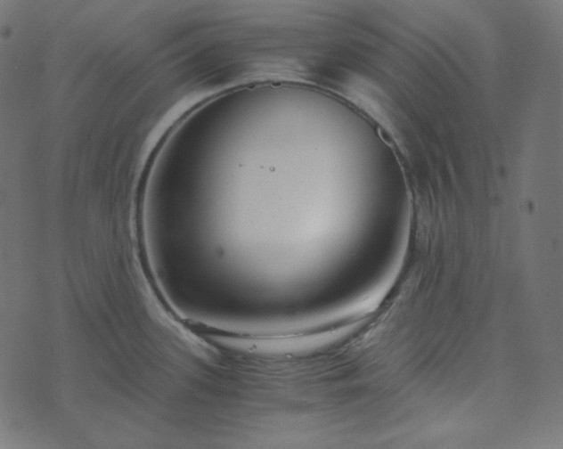 X0000073921339200608181039