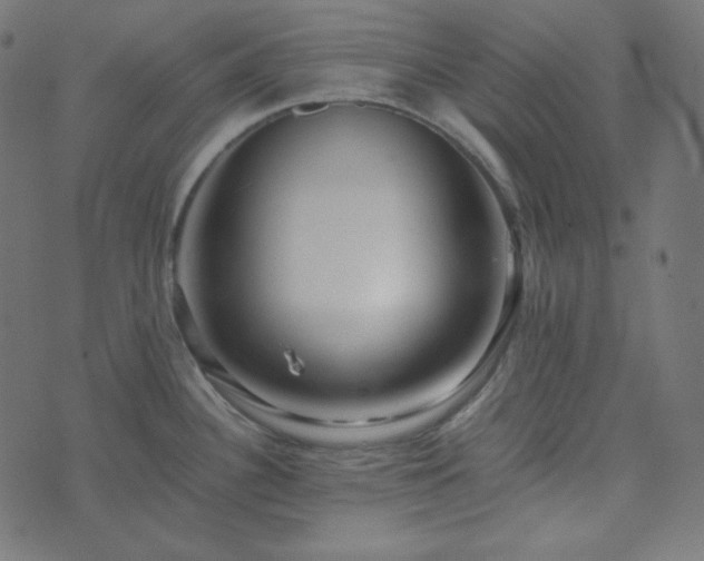 X0000073921340200608181039