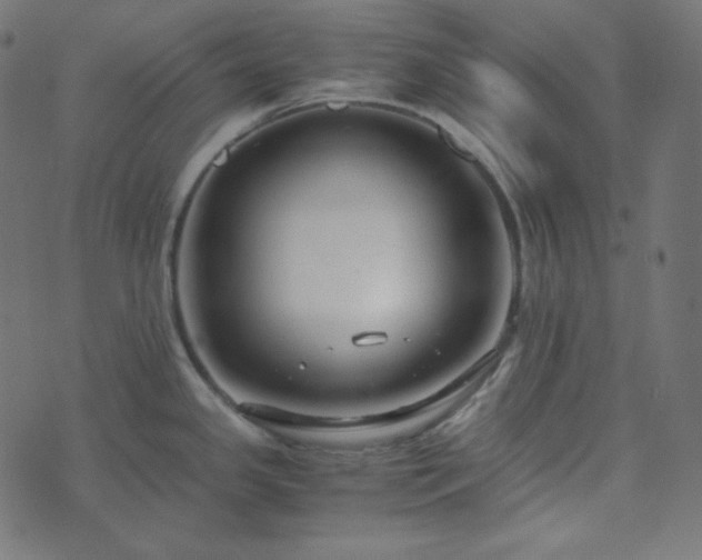 X0000073921341200608181039