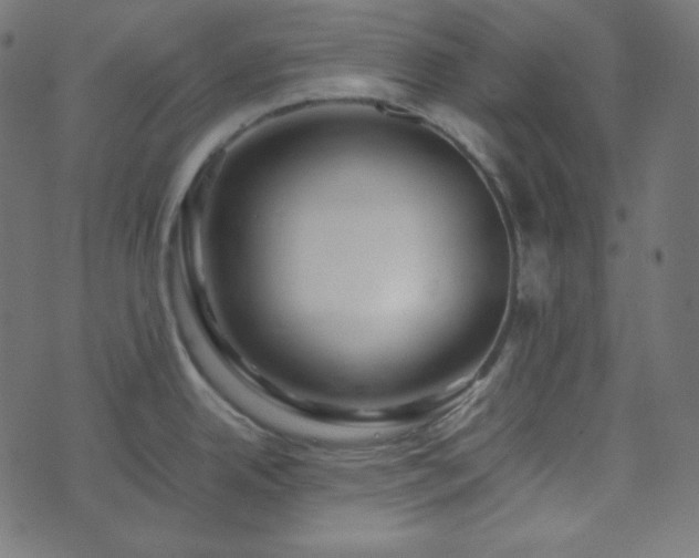 X0000073921342200608181040