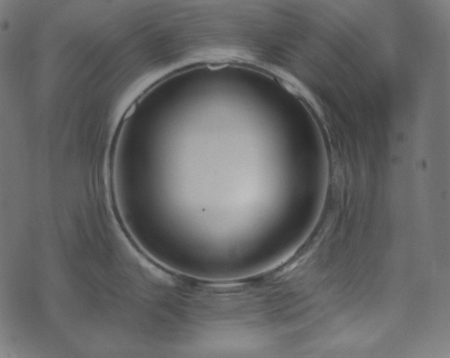 X0000073921343200608181040