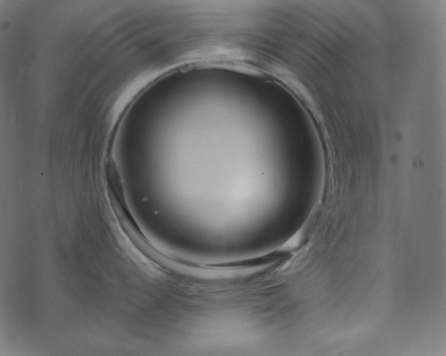 X0000073921344200608181040