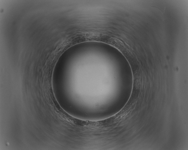 X0000073921345200608181039