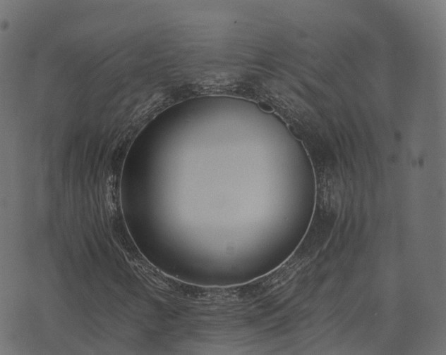 X0000073921346200608181039