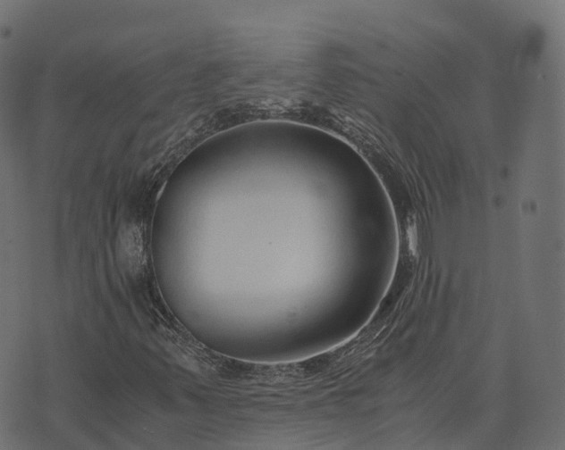 X0000073921347200608181039