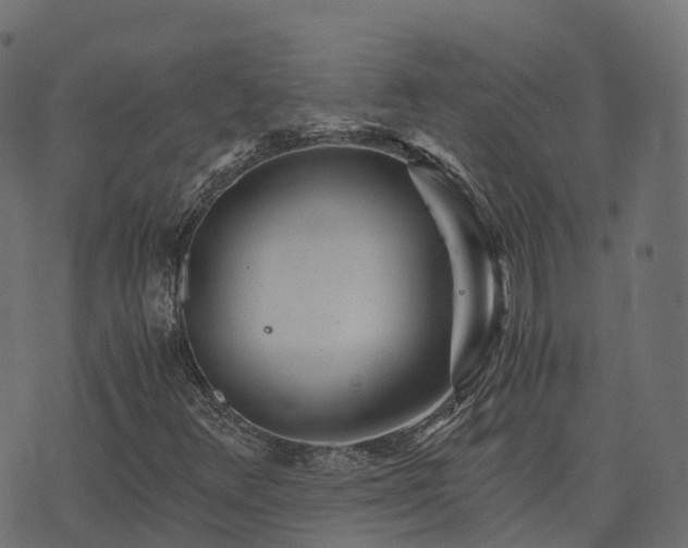 X0000073921348200608181039