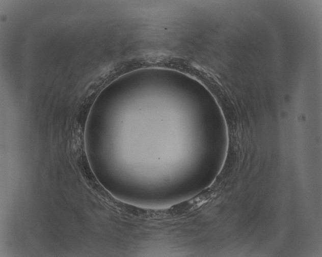 X0000073921349200608181039