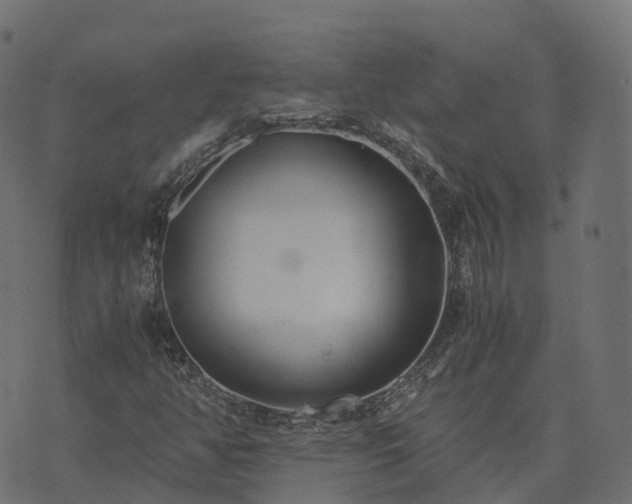 X0000073921350200608181039