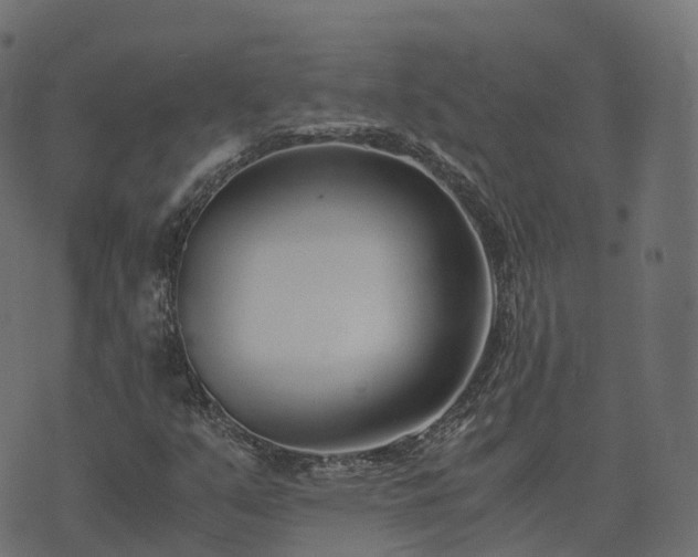 X0000073921351200608181039