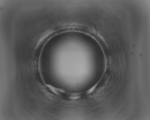 X0000073921352200608181039