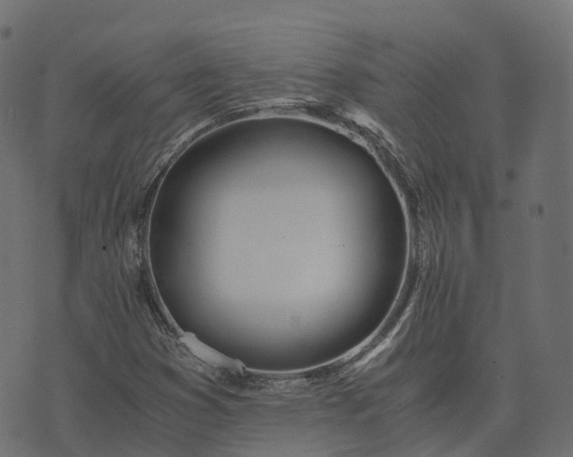 X0000073921353200608181039