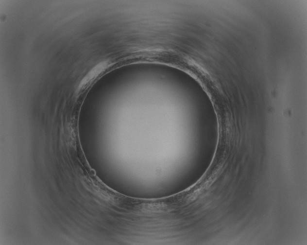 X0000073921354200608181039