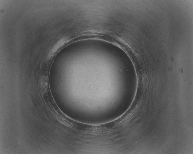 X0000073921355200608181039