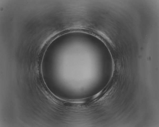 X0000073921356200608181039