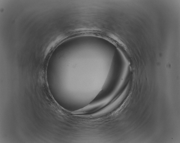 X0000073921357200608181039