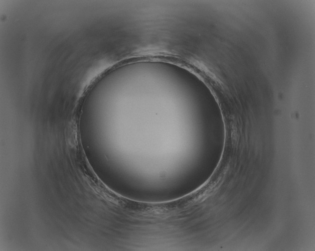 X0000073921358200608181039