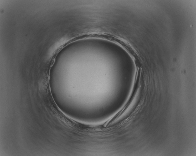 X0000073921359200608181039