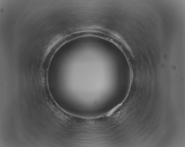 X0000073921360200608181039