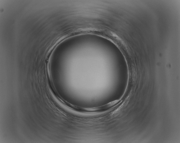 X0000073921361200608181039