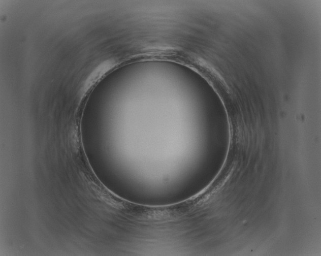 X0000073921362200608181038