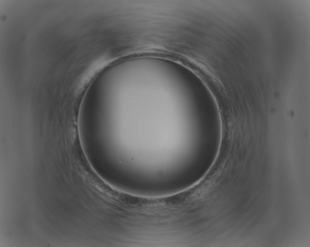 X0000073921363200608181038