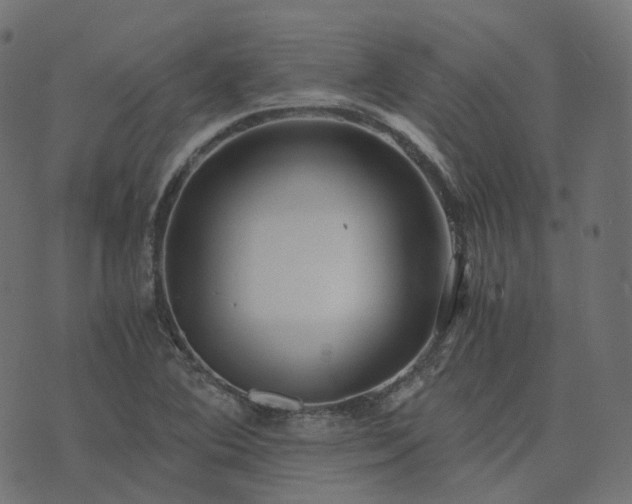 X0000073921364200608181038