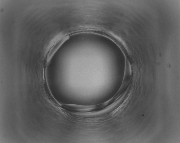 X0000073921365200608181038