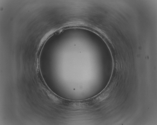 X0000073921366200608181038