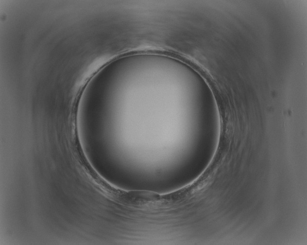 X0000073921367200608181038