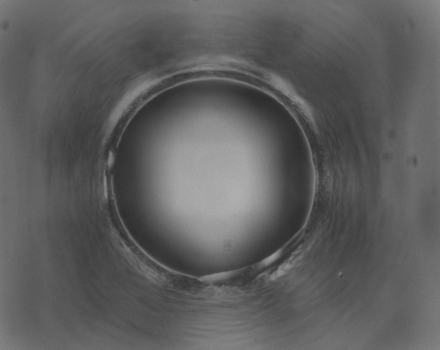 X0000073921368200608181038