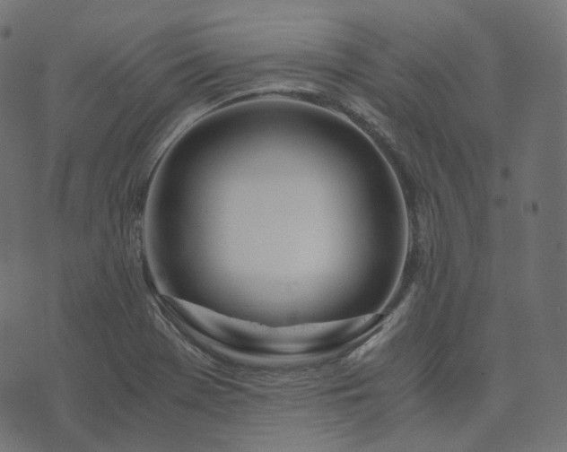 X0000073921369200608181038