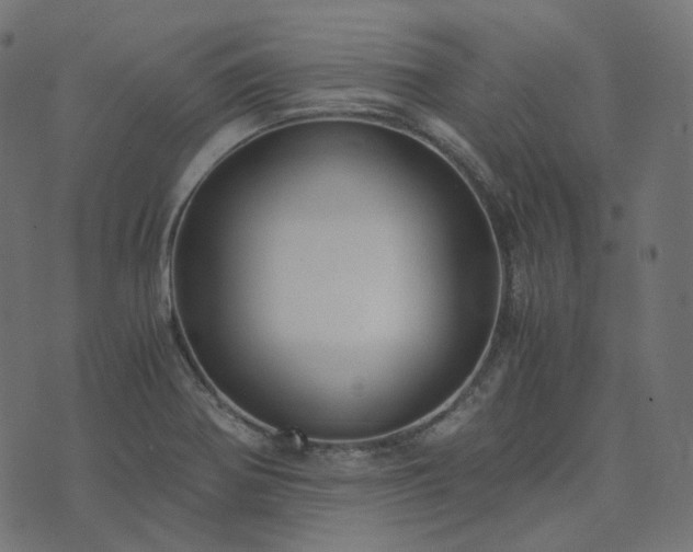 X0000073921370200608181038