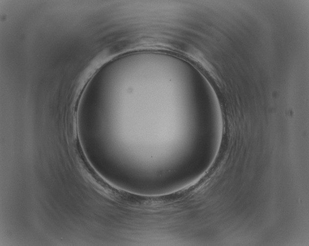 X0000073921371200608181038