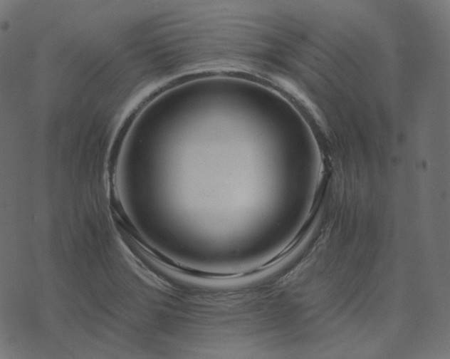 X0000073921372200608181038