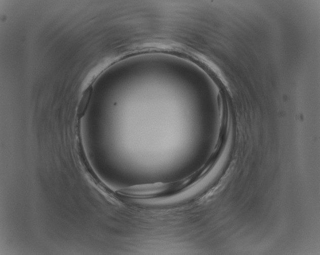 X0000073921373200608181038