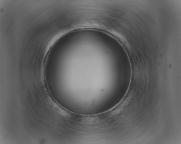 X0000073921374200608181038