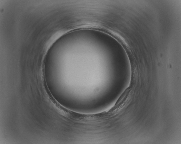 X0000073921375200608181038