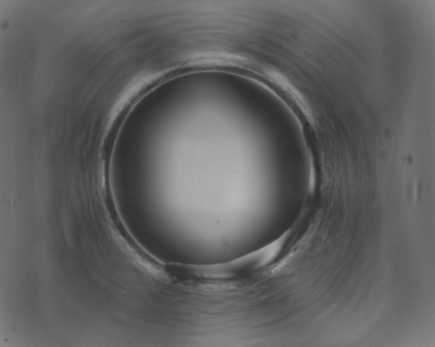 X0000073921376200608181038