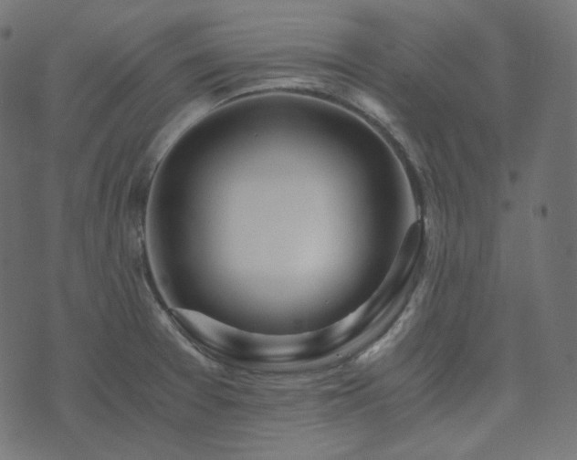 X0000073921377200608181038