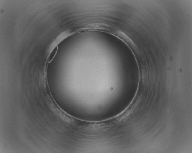 X0000073921378200608181038