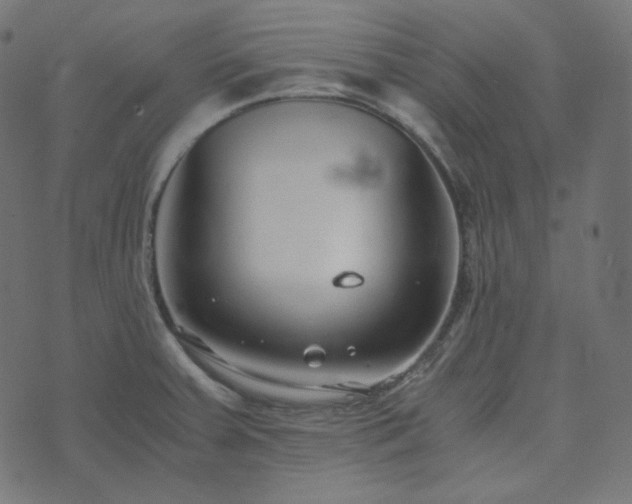 X0000073921379200608181038