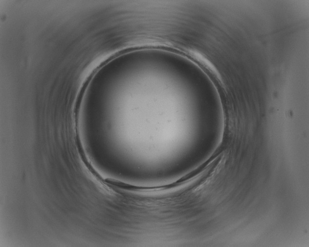 X0000073921380200608181038