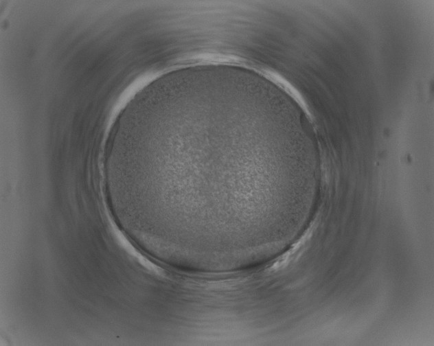 X0000073921381200608181038