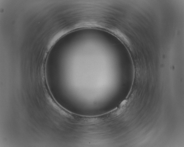 X0000073921382200608181038